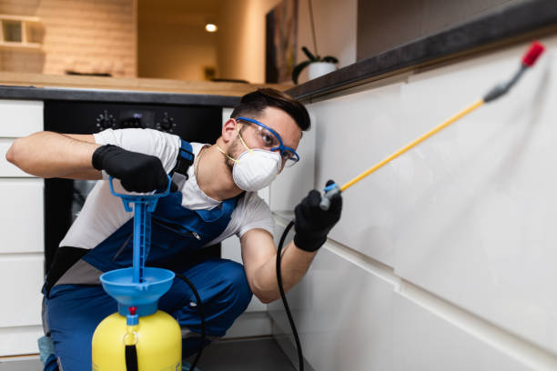 Pest Prevention Services in Mayville, WI