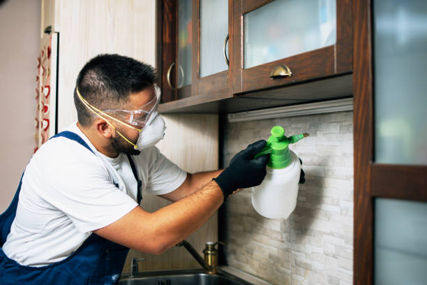 Best Emergency Pest Control  in Mayville, WI