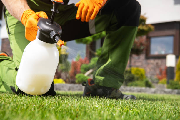 Bird Control in Mayville, WI