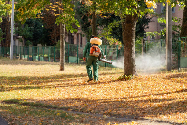 Best Pest Removal Services  in Mayville, WI