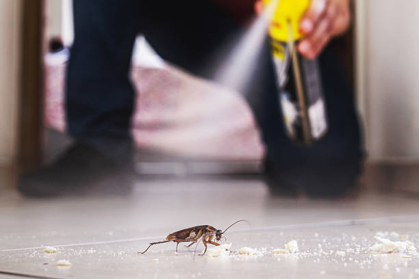 Best Emergency Pest Control  in Mayville, WI
