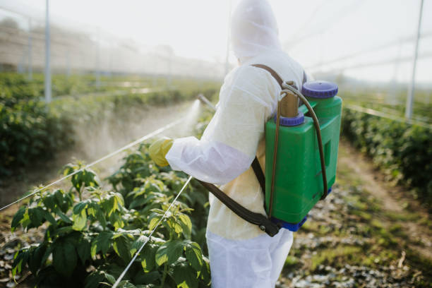 Best Cockroach Control Services  in Mayville, WI